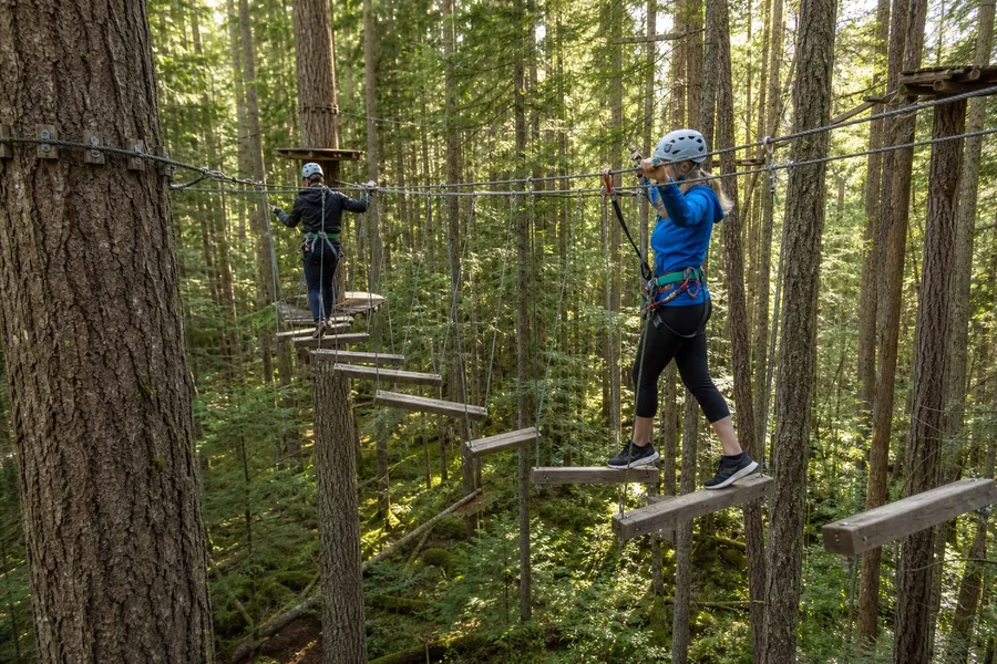 Ropes adventure among mountain trees