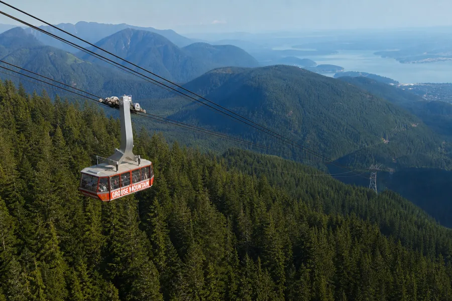 Red Skyride gondola above the forest