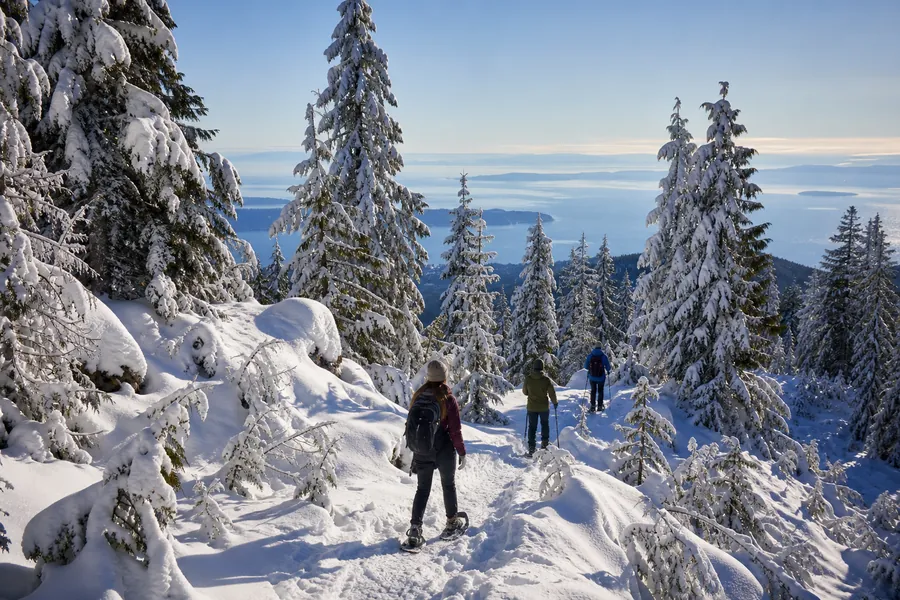 Snow-covered trail at Grouse Mountain